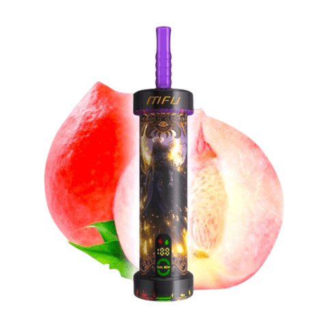 MFU Shisha X1 40000 Puffs Disposable